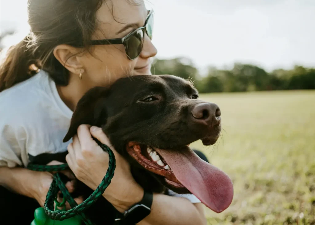 Dog Obedience Training To Transform Your Pet’s Behavior 5 good dog