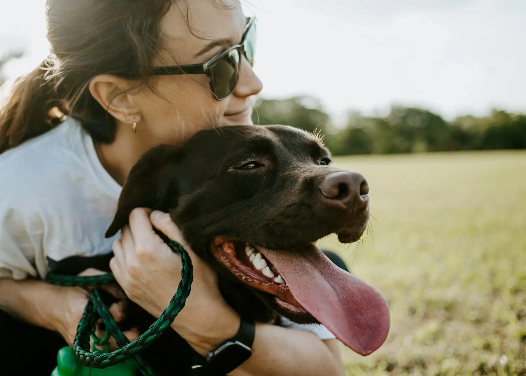Dog Obedience Training To Transform Your Pet’s Behavior 2 good dog