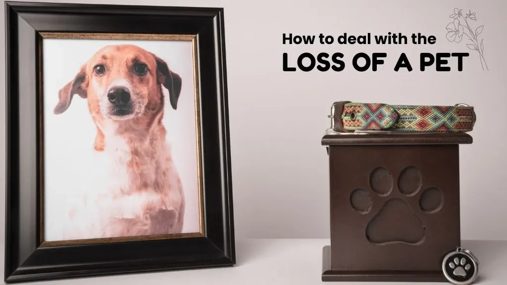 Loss Of A Dog