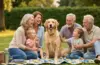Most Loyal Dog Breeds Family