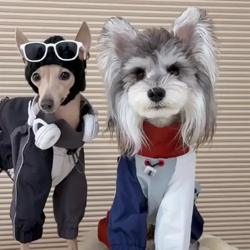 Instagram Picture (4)