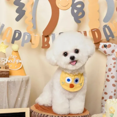 Instagram Picture (7)