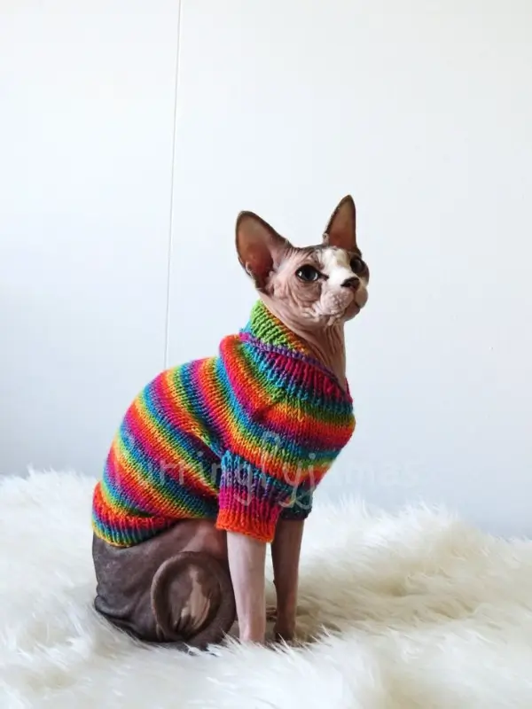 Most Popular Cat Breeds Sphynx 600x800 1