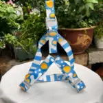 Blue Dog Harness (3)