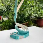 Collar And Leash Set (4)