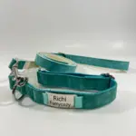 Collar And Leash Set (7)