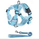 Collar Harness And Leash Set (1)