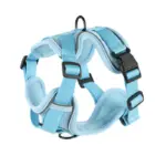 Collar Harness And Leash Set (2)