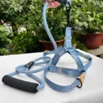 Collar Leash Set (3)