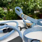 Collar Leash Set (5)