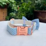Custom Dog Collars (1)