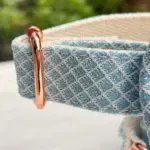 Custom Dog Collars C07 (3)