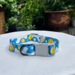 Cute Dog Collar (3)