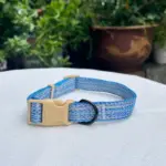 Dog Collar (2)