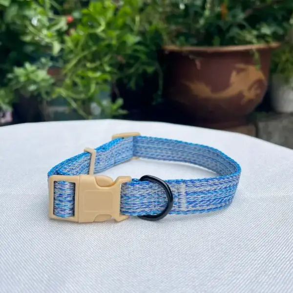 Dog Collar (2)