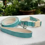 Dog Collar Harness And Leash Set (5)