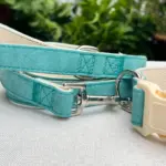 Dog Collar Harness And Leash Set (7)