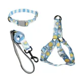 Dog Collar Leash