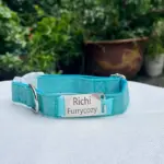Dog Collar With Name (1)