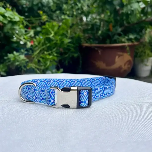 Dog Collars (7)