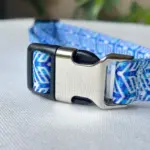 Dog Collars C03 (1)