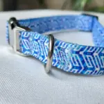 Dog Collars C03 (2)