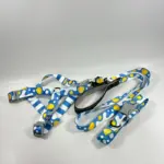 Dog Collars And Leashes