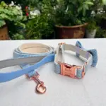 Dog Collars And Leashes (2)