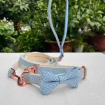 Dog Collars And Leashes (4)