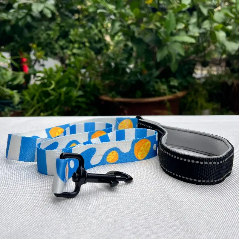 Dog Leash (2) Dog Leash (2)