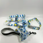 Dog Leashes For Dogs