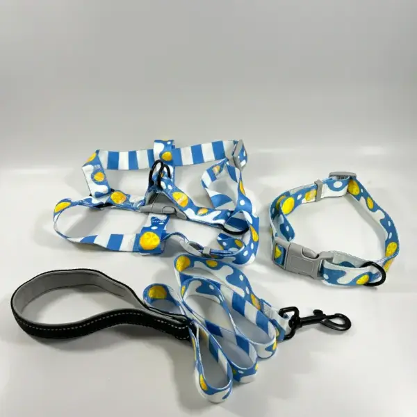 Dog Leashes For Dogs