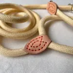 Dog Training Leash​ L02 (1)