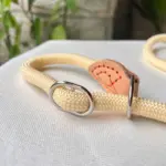 Dog Training Leash​ L02 (2)