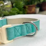 Leather Dog Collars C06 (2)