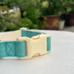 Leather Dog Collars C06 (3)