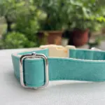 Leather Dog Collars C06 (4)