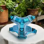 Puppy Dog Harness (5)