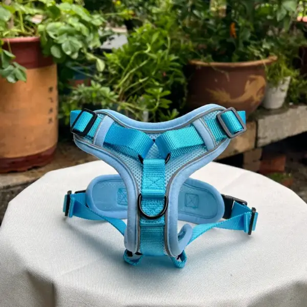 Puppy Dog Harness (5)