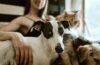 Bringing Home A New Puppy Blog Banner