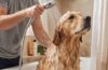 Dog Conditioners Routine With Th (1)
