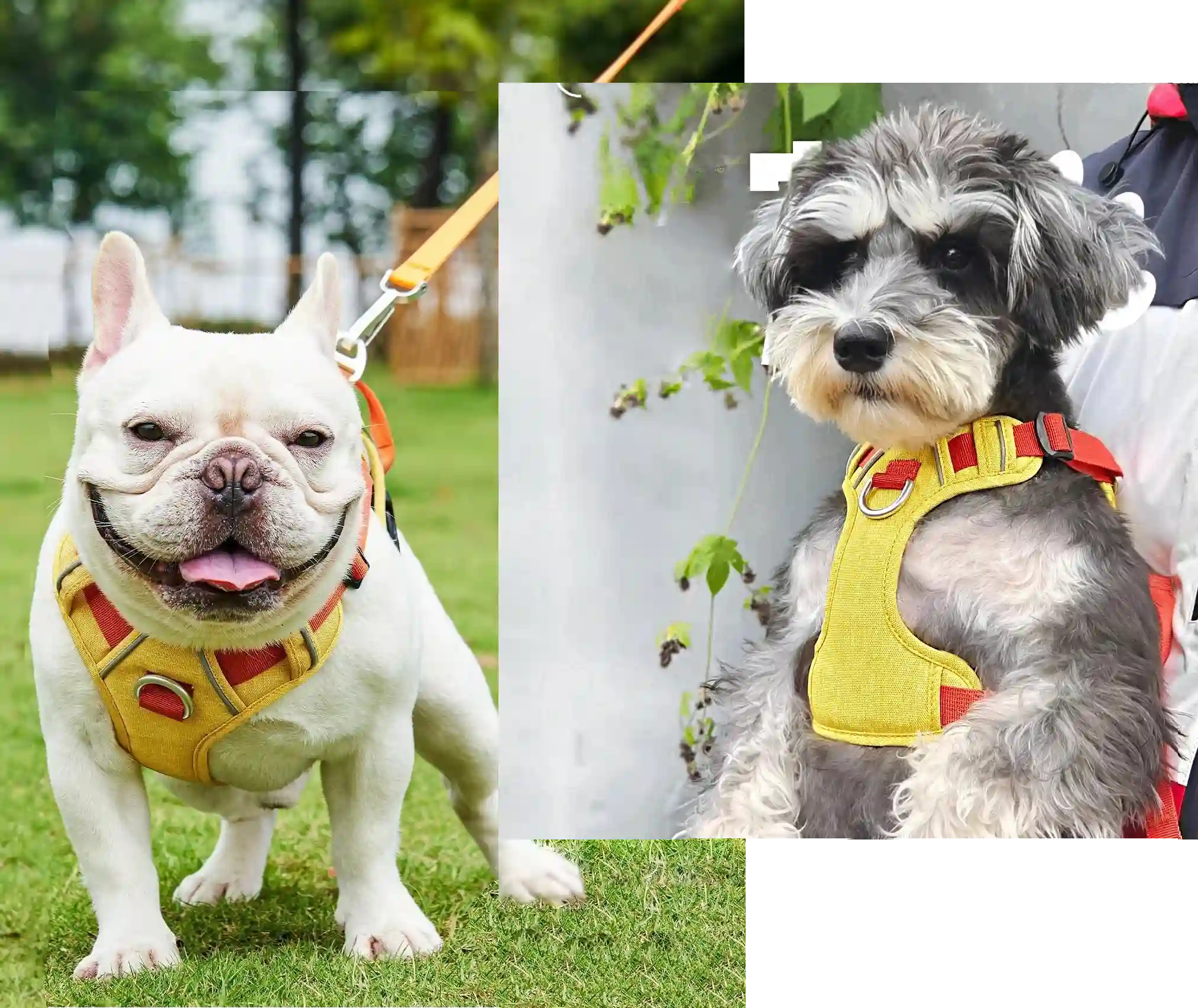 Dog Vest Harnesses