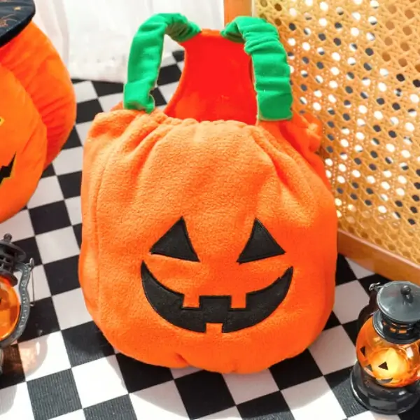 Pumpkin Pet Costume