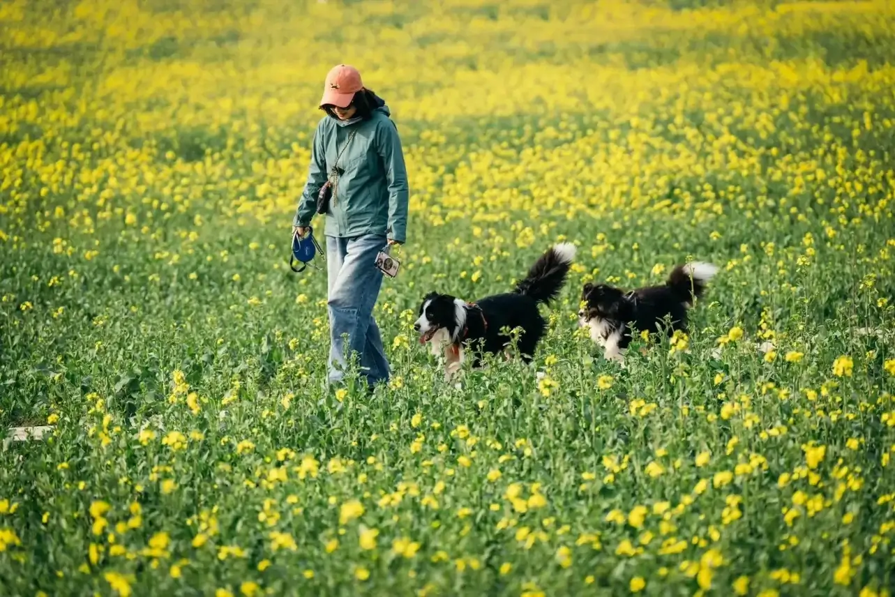 With Dog In Flower About Furrycozy