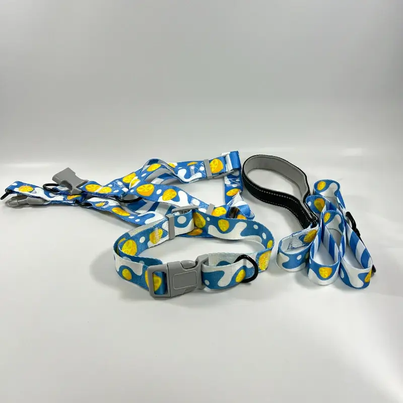 Dog Collar Leash Set