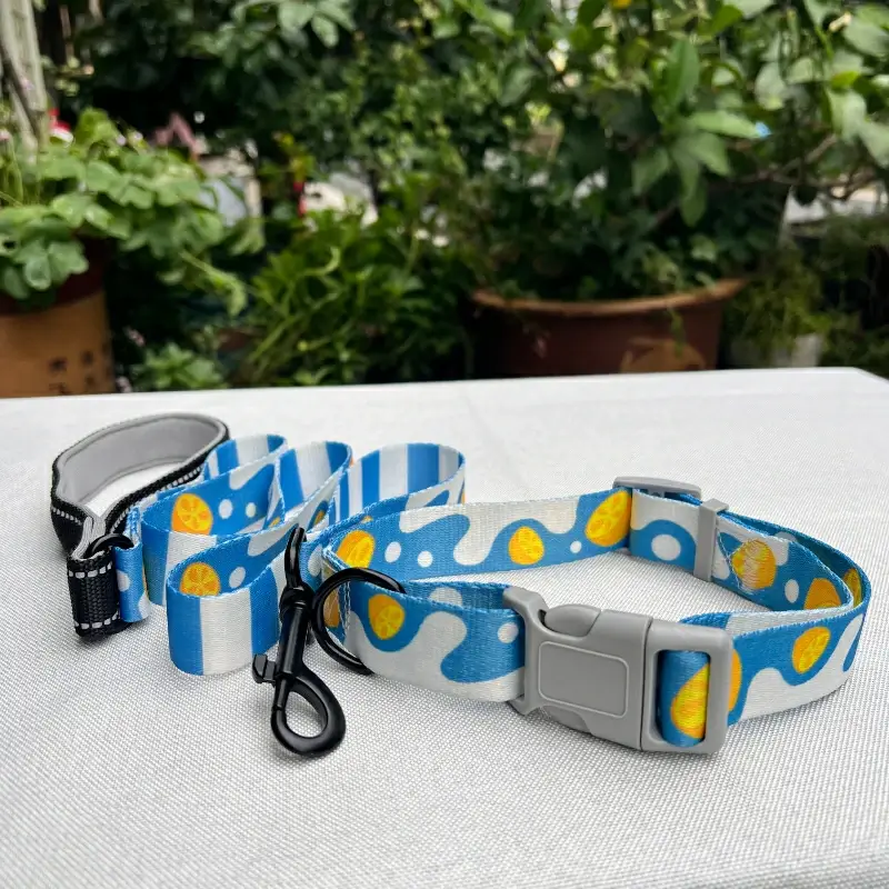 Dog Collar Leash Set Products