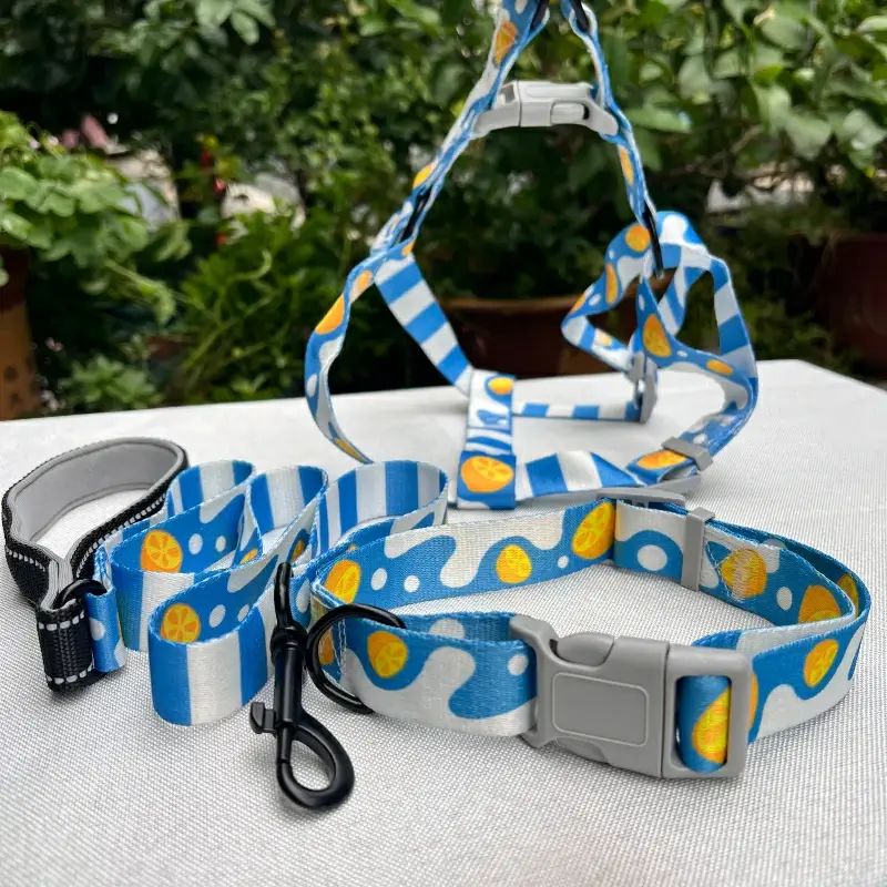 Dog Collar Leash Set Dog Collar Leash Set