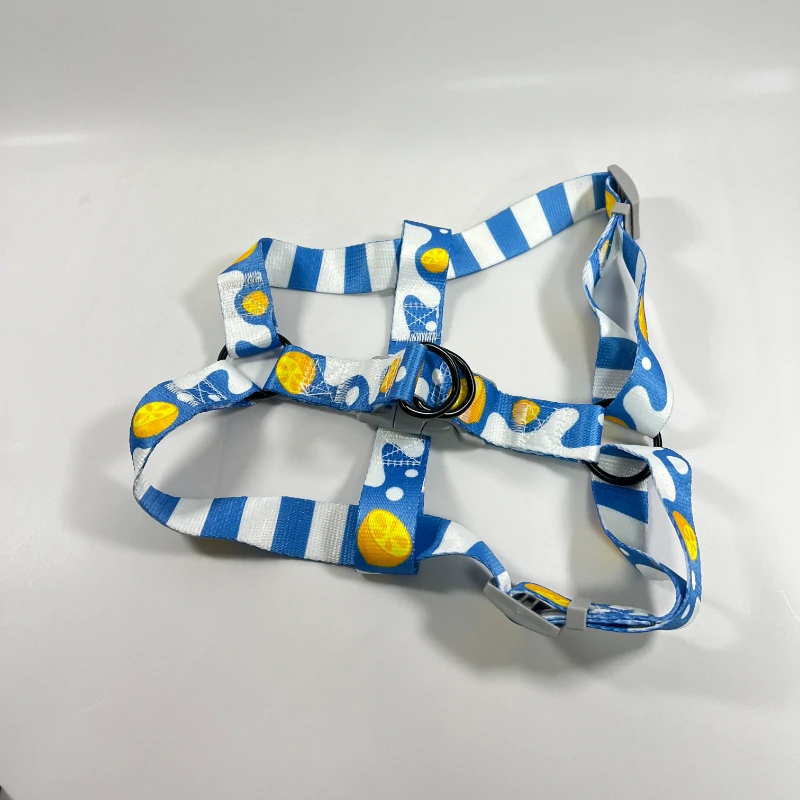 Blue Dog Harness (1)