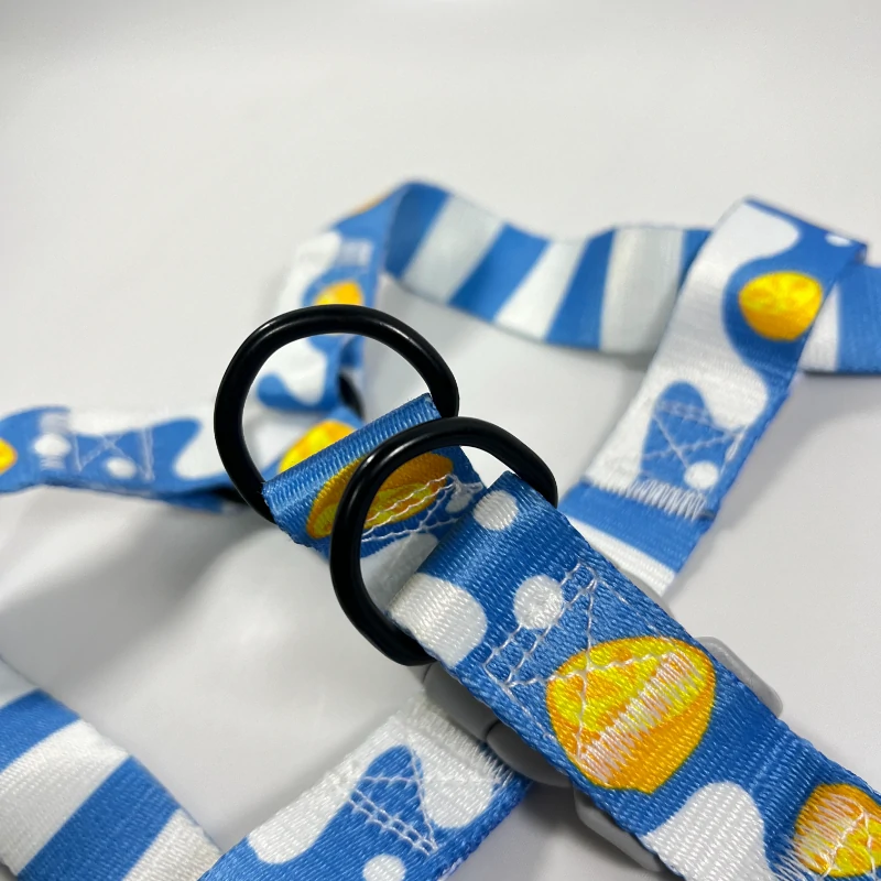 Blue Dog Harness (2)