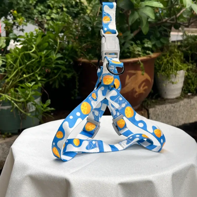 Blue Dog Harness (4)